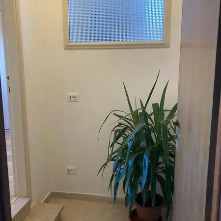 Attico Verdi